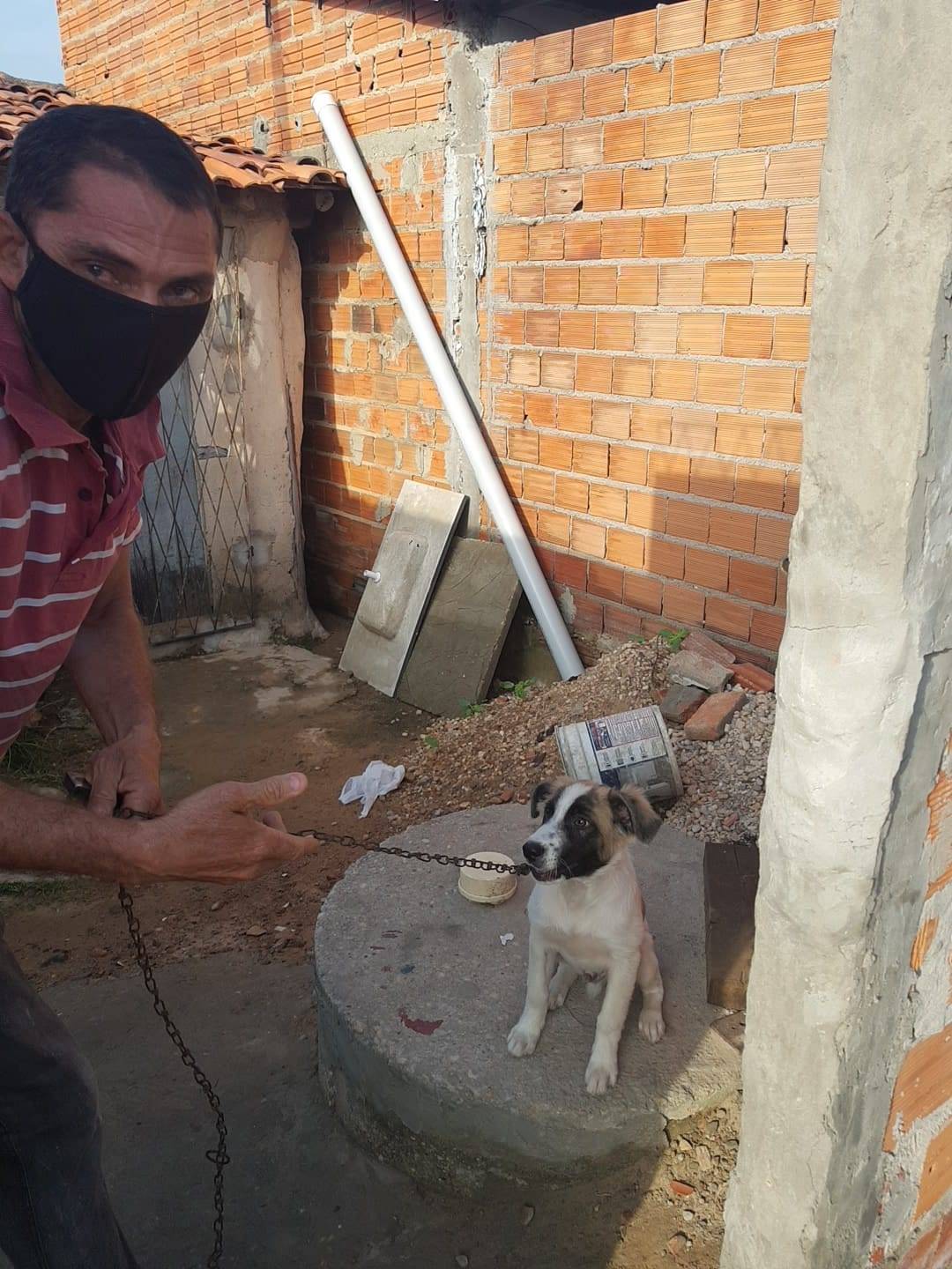 Homem é preso após vídeo registrar espancamento em cachorro em Teresina